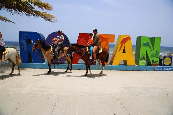 South Side Horseback Riding, Beach Break & Roundway Transfer - Key Points