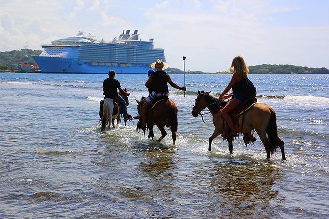 South Side Horseback Riding, Beach Break & Roundway Transfer - Group Size and Accessibility