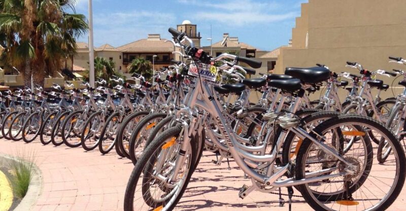 South Tenerife: Bike Rental With Hotel Delivery - Key Points