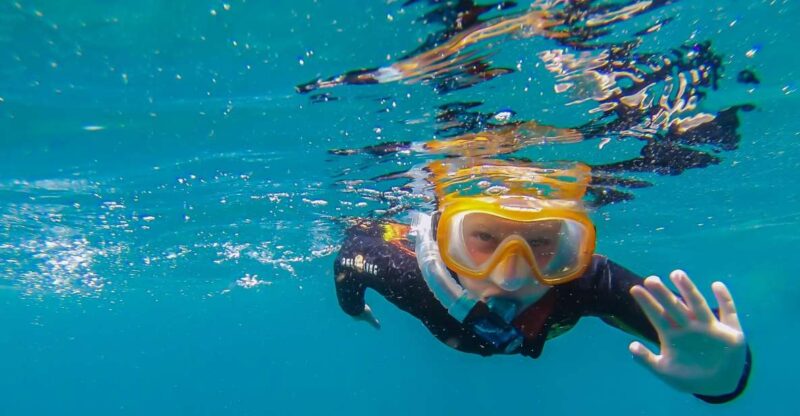 South Tenerife: Guided Snorkeling - Experience Highlights
