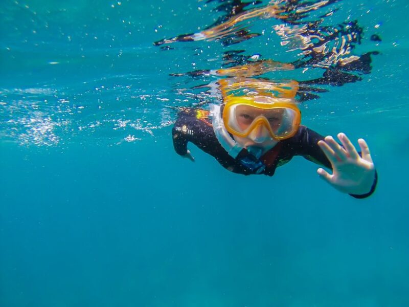 South Tenerife: Guided Snorkeling - Inclusions and Transportation