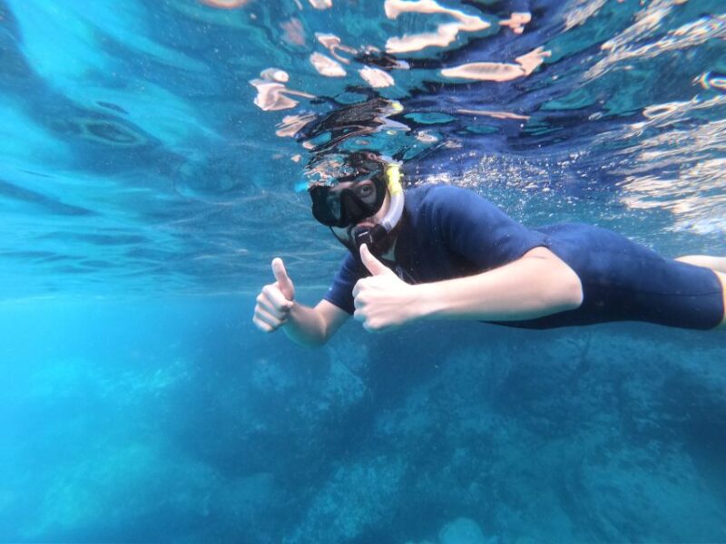 South Tenerife: Guided Snorkeling - Participant Requirements