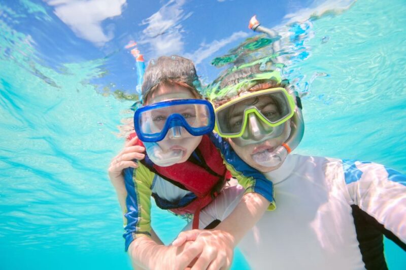 South Tenerife: Guided Snorkeling - Languages Offered