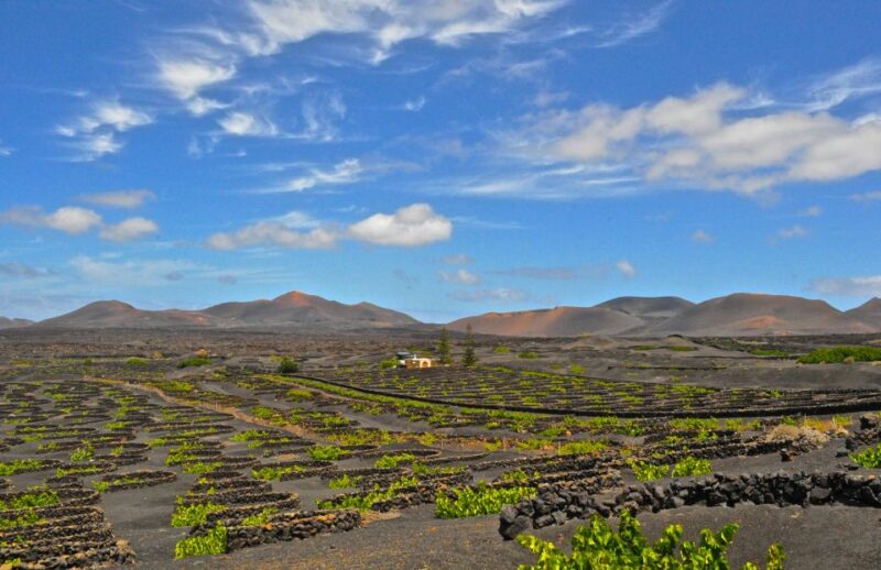 South Tour: Timanfaya National Park - Pickup Locations and Itinerary
