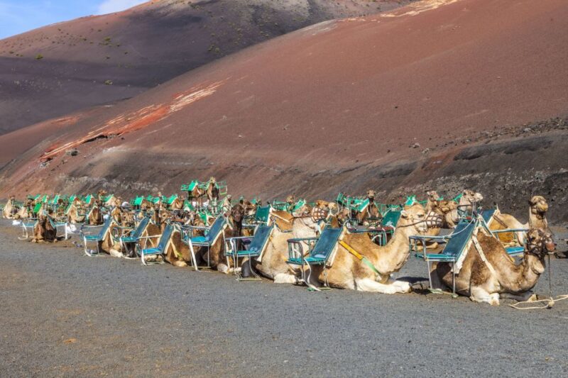 South Tour: Timanfaya National Park - Exploring El Golfo