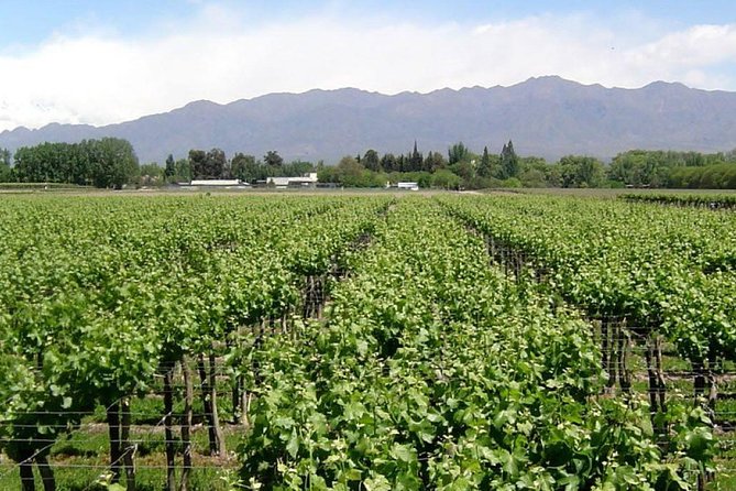 South Wine Route - Key Points