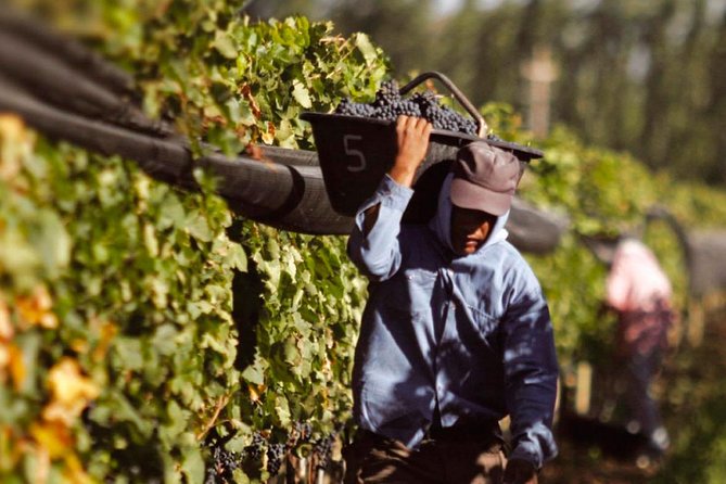 South Wine Route - Inclusions