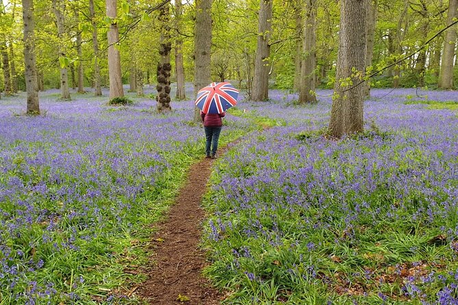 Southampton Port to London - Transfer With Sightseeing - Traveler Accessibility and Assistance
