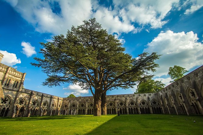Southampton: Post-Cruise Tour to London via Salisbury, Stonehenge and Windsor - Accessibility and Mobility Considerations