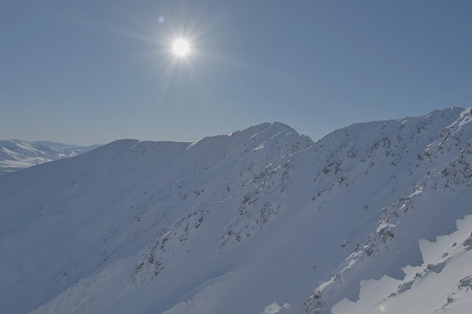 Southern Alps Scenic - Reviews and Ratings