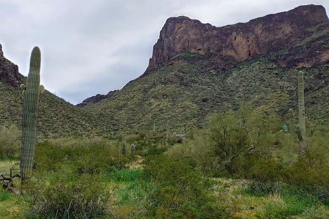 Southern Arizona Full-Day Historical Tour From Phoenix - Private Tour - Accessibility and Cancellation Policy