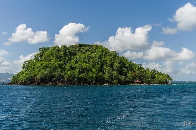 Southern Caribbean Tour: Swimming With Turtles, Bats, Diamond (Weather Permitting). - Customer Feedback