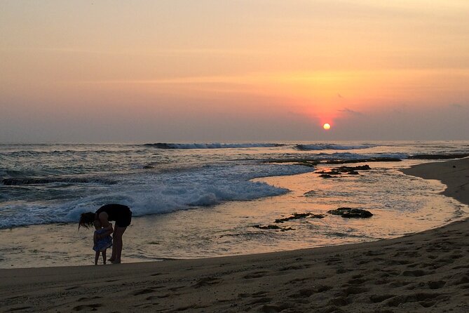 Southern Coast Highlights From Unawatuna - Encounter Turtle Hatchery