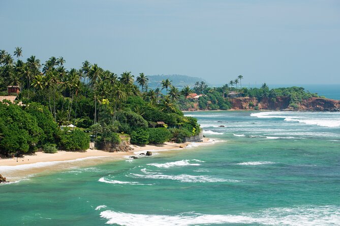 Southern Coast Highlights Tour From Bentota - Highlights and Inclusions