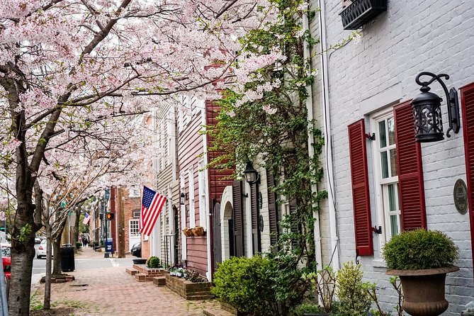 Southern Comfort - Old Town Alexandria Food & History Tour - Accessibility Considerations