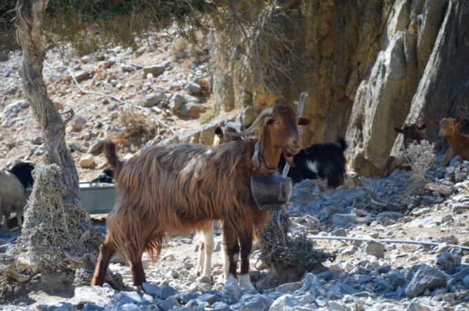 Southern Crete: Land Rover Safari With Lunch and Wine - Exclusions and Personal Expenses