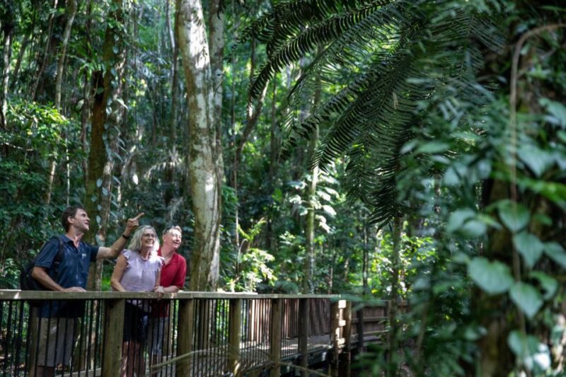 Southern Daintree Explorer Tour - Half Day - Key Points