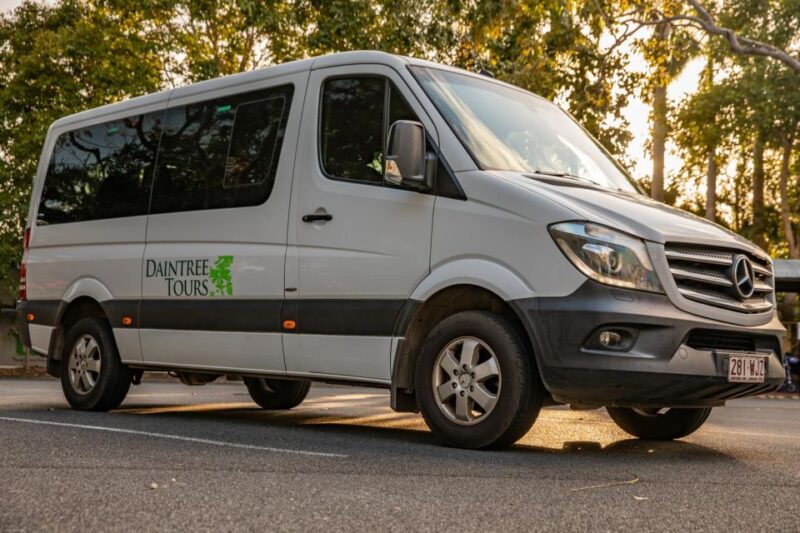 Southern Daintree Explorer Tour - Half Day - Highlights of the Tour