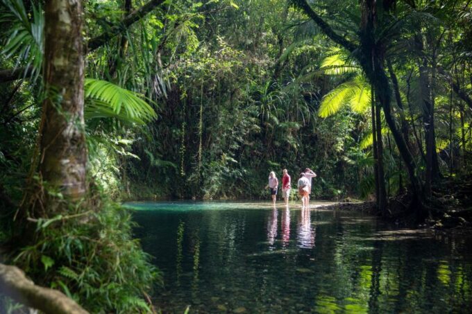 Southern Daintree Explorer Tour - Half Day - Recommended Attire and Accessories