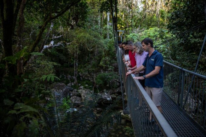 Southern Daintree Explorer Tour - Half Day - Frequently Asked Questions