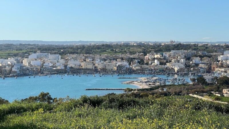 Southern Delights Full Day - Swimming, Market & Blue Grotto - Key Points