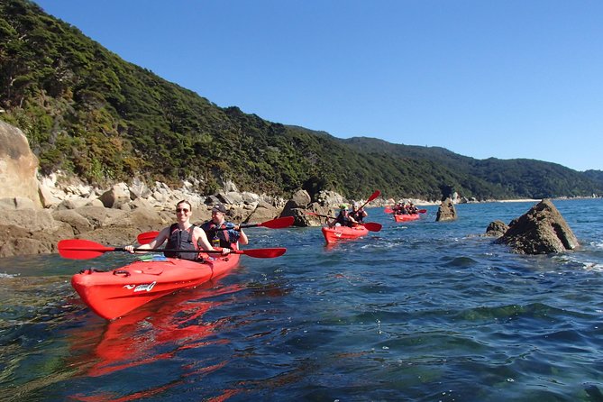 Southern Duo Kayak & Walk Tour - Additional Details