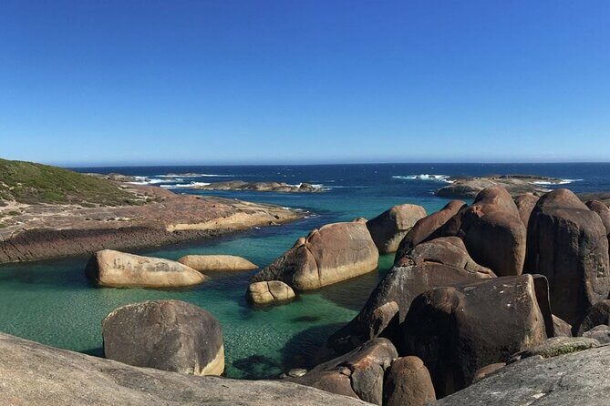 Southern Experience 3 Day Tour - Day 1: Coastal Charm and Ancient Forests
