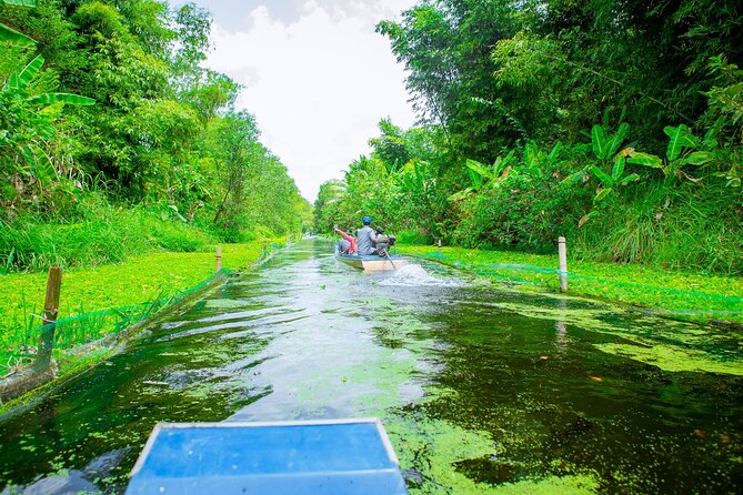 Southern Forest Tour – Explore Hau Giang Nature - Tour Specifications