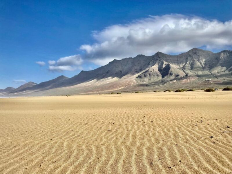 Southern Fuerteventura: Cofete Beach and Desert Safari - Roque Del Morro Viewpoint