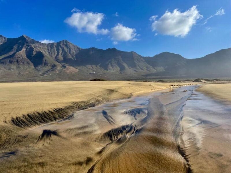 Southern Fuerteventura: Cofete Beach and Desert Safari - Discovering Hidden Gems