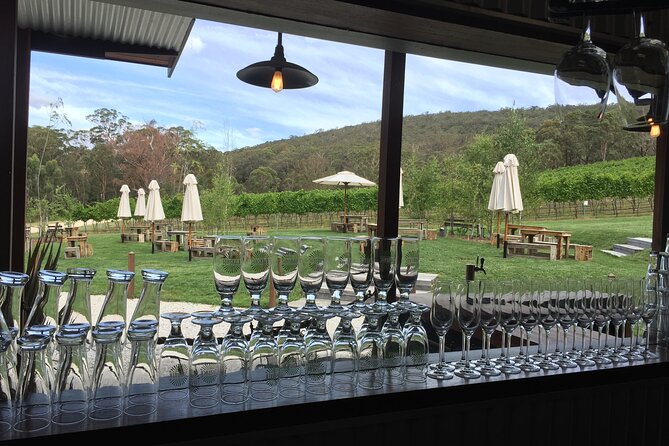Southern Highlands & South Coast Private Tour From Sydney - Immersive Treetop Experience