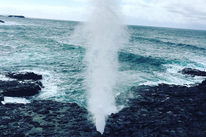 Southern Highlands & South Coast Private Tour From Sydney - Renowned Waterfall Destination