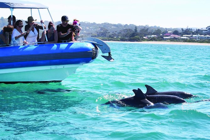 Southern Ocean Adventure From Victor Harbor - Passenger Experiences and Reviews