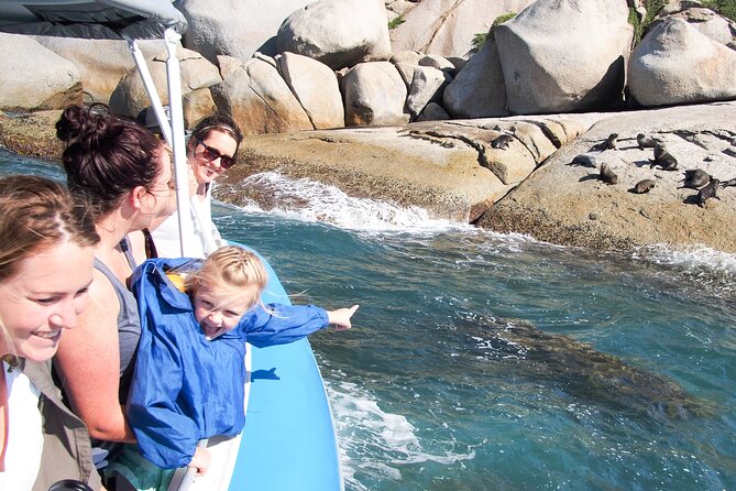 Southern Ocean Adventure From Victor Harbor - Departure and Return Information