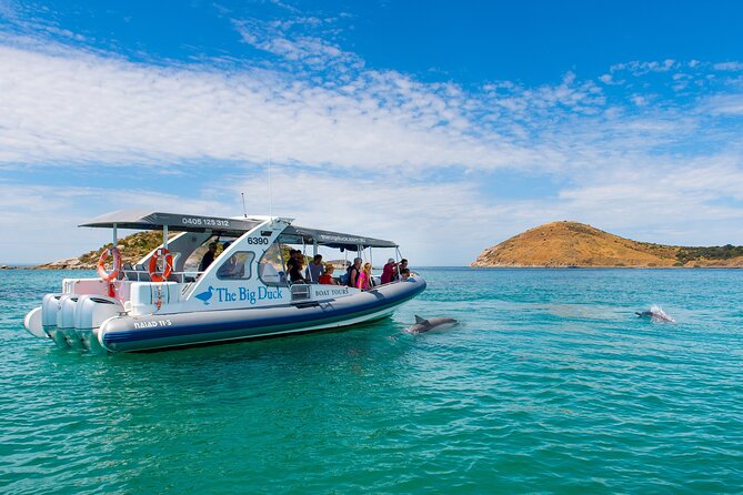 Southern Ocean Adventure From Victor Harbor - Activities and Suitability