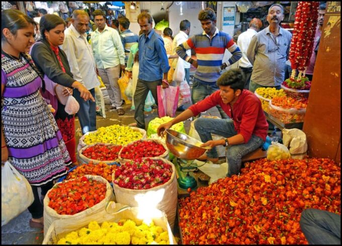 Southern Sojourn: 17 Days South India With Car & Driver Tour - Mysore to Bengaluru