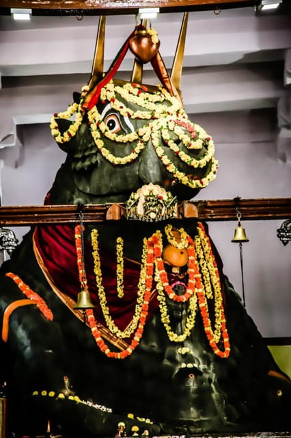 Southern Sojourn: 17 Days South India With Car & Driver Tour - Inclusions and Exclusions