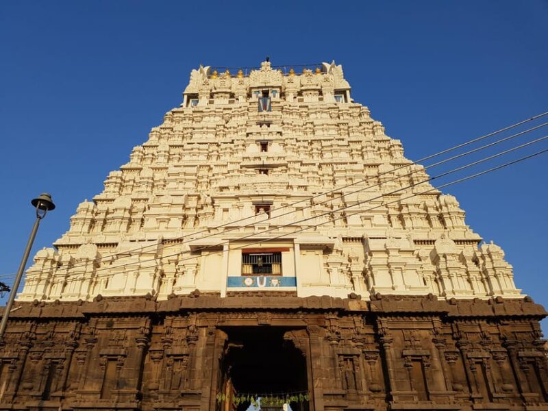 Southern Splendor: Exploring Tamil Nadu, Kerala & Karnataka - Inclusions and Exclusions