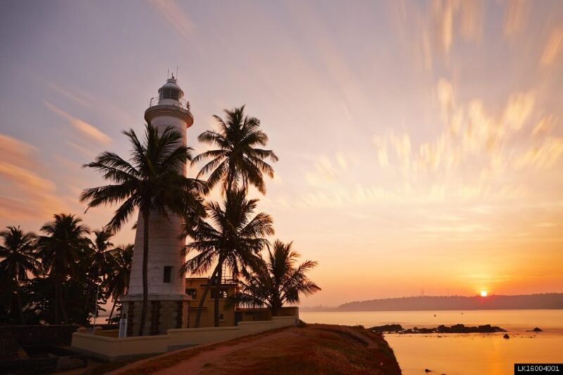 Southern Sri Lanka: Sea, Sand & Marine Life 2-Day Tour - Itinerary Highlights