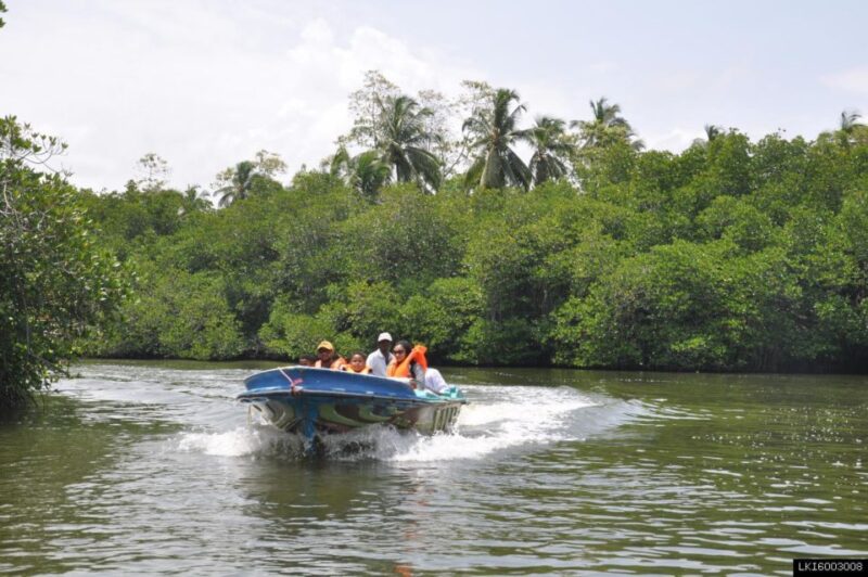 Southern Sri Lanka: Sea, Sand & Marine Life 2-Day Tour - Inclusions and Exclusions