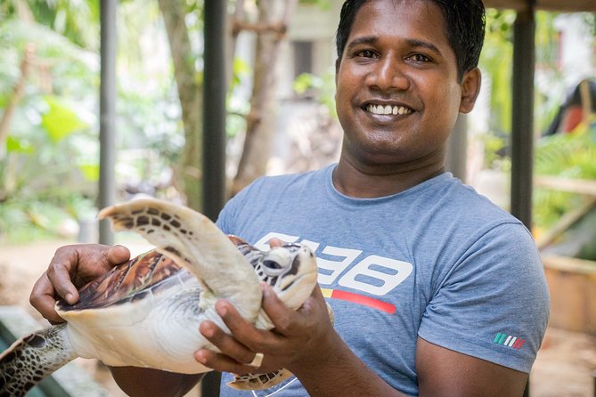 Southern Sri Lanka Sightseeing Day Trip From Colombo & Negombo - Highlights and Activities