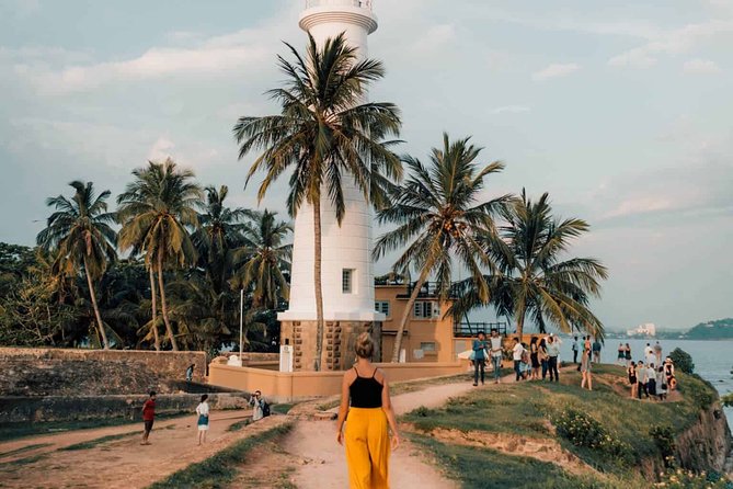 Southern Sri Lanka Sightseeing Day Trip From Colombo & Negombo - Highlights and Activities