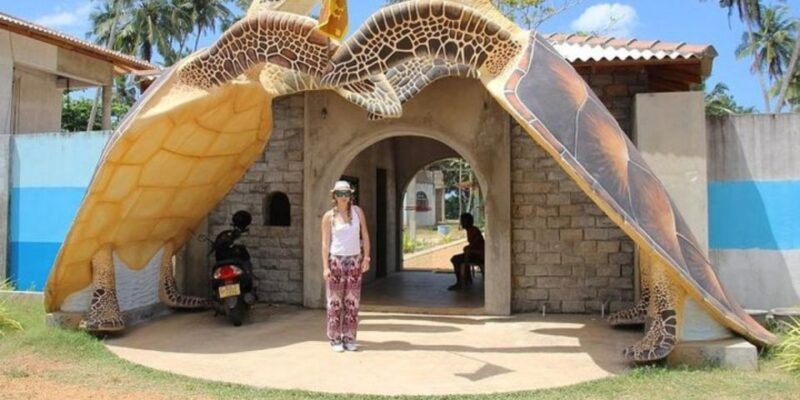 Southern Sri Lanka: Sightseeing Tour From Colombo Harbour! - Tour Inclusions