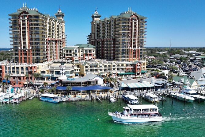 Southern Star Dolphin Cruise - Key Points