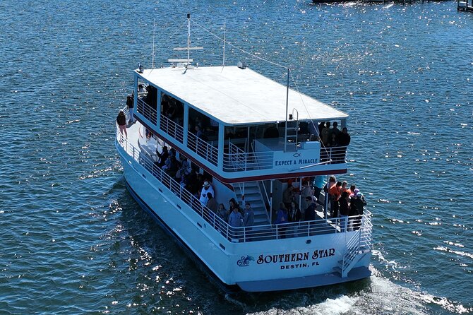 Southern Star Dolphin Cruise - Exploring the Southern Star