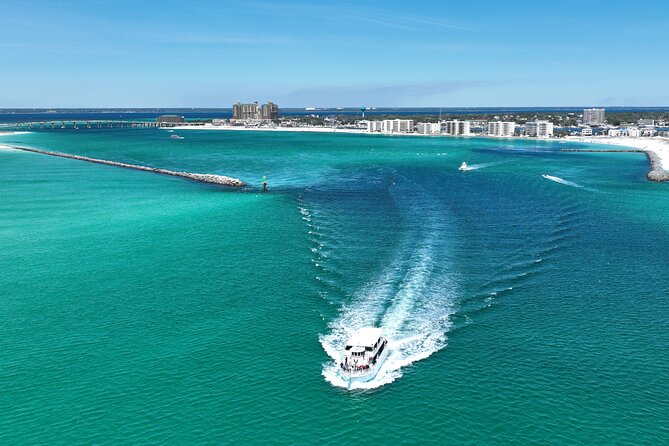 Southern Star Dolphin Cruise - Onboard Amenities and Activities