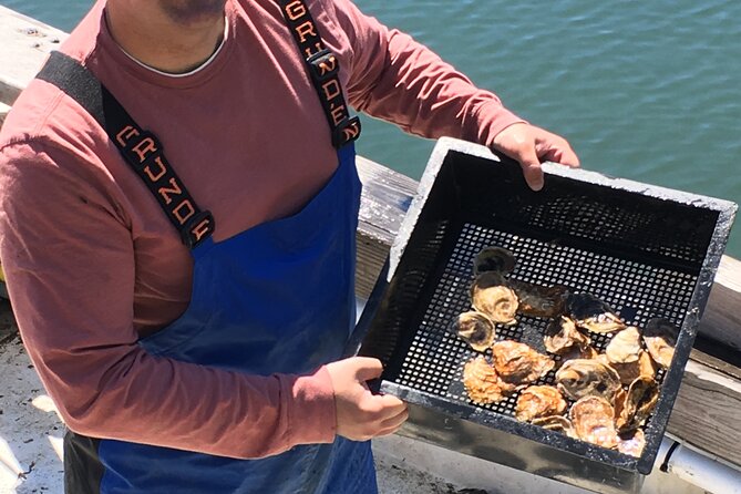 Southold Bay Oyster Farm Tour - Inclusions