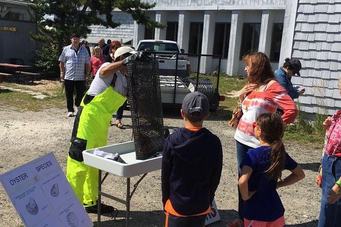 Southold Bay Oyster Farm Tour - Reviews