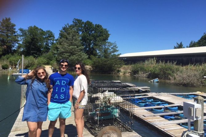 Southold Bay Oyster Farm Tour - Oyster Farming Stages
