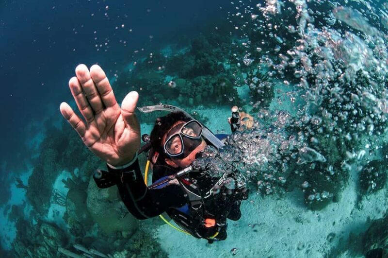Southpoint Divers: 1-Day Discover Scuba Diving Course - Key Points
